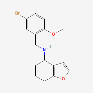 molecular formula C16H18BrNO2 B7540946 N-[(5-bromo-2-methoxyphenyl)methyl]-4,5,6,7-tetrahydro-1-benzofuran-4-amine 