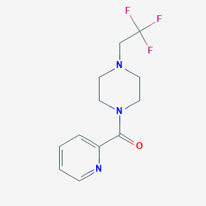molecular formula C12H14F3N3O B7543358 Pyridin-2-yl-[4-(2,2,2-trifluoroethyl)piperazin-1-yl]methanone 