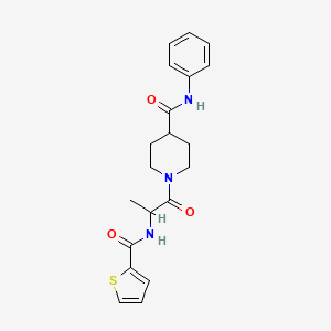molecular formula C20H23N3O3S B7546711 N-phenyl-1-[2-(thiophene-2-carbonylamino)propanoyl]piperidine-4-carboxamide 