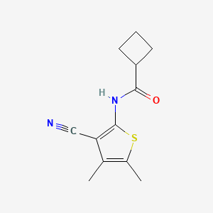 molecular formula C12H14N2OS B7558340 N-(3-cyano-4,5-dimethylthiophen-2-yl)cyclobutanecarboxamide 