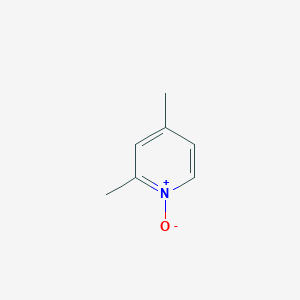 molecular formula C7H9NO B075586 2,4-Dimethylpyridine 1-oxide CAS No. 1122-45-8