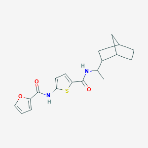 molecular formula C19H22N2O3S B7561490 N-[5-[1-(2-bicyclo[2.2.1]heptanyl)ethylcarbamoyl]thiophen-2-yl]furan-2-carboxamide 