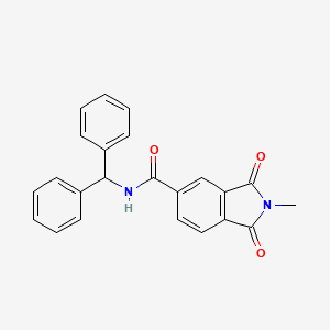 molecular formula C23H18N2O3 B7562884 N-benzhydryl-2-methyl-1,3-dioxoisoindole-5-carboxamide 