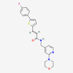 molecular formula C23H22FN3O2S B7562929 (E)-3-[5-(4-fluorophenyl)thiophen-2-yl]-N-[(2-morpholin-4-ylpyridin-4-yl)methyl]prop-2-enamide 