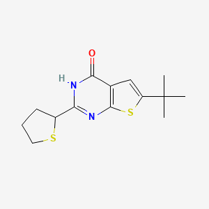 molecular formula C14H18N2OS2 B7583289 6-tert-butyl-2-(thiolan-2-yl)-3H-thieno[2,3-d]pyrimidin-4-one 
