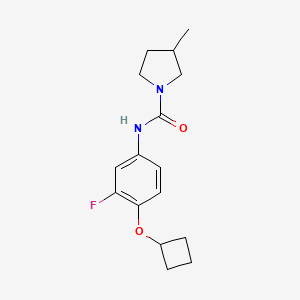 molecular formula C16H21FN2O2 B7584738 N-(4-cyclobutyloxy-3-fluorophenyl)-3-methylpyrrolidine-1-carboxamide 