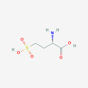 molecular formula C4H9NO5S B075922 L-Homocysteic acid CAS No. 14857-77-3