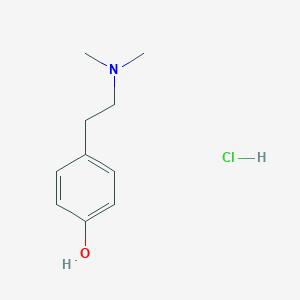 molecular formula C10H16ClNO B075961 Hordenine hydrochloride CAS No. 6027-23-2