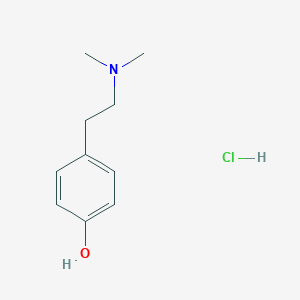 molecular formula C10-H15-N-O.Cl-H B075961 Hordenine hydrochloride CAS No. 6027-23-2