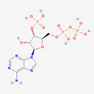 molecular formula C10H16N5O13P3 B075964 3'-Phosphate-adenosine-5'-diphosphate CAS No. 13400-10-7