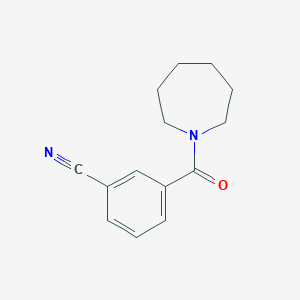 molecular formula C14H16N2O B7607029 3-(Azepane-1-carbonyl)benzonitrile 