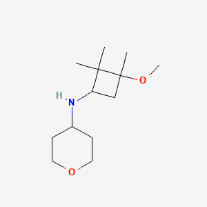 molecular formula C13H25NO2 B7619032 N-(3-methoxy-2,2,3-trimethylcyclobutyl)oxan-4-amine 