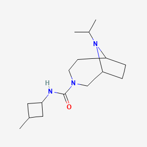 molecular formula C16H29N3O B7619587 N-(3-methylcyclobutyl)-9-propan-2-yl-3,9-diazabicyclo[4.2.1]nonane-3-carboxamide 