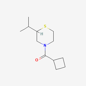 molecular formula C12H21NOS B7619974 Cyclobutyl-(2-propan-2-ylthiomorpholin-4-yl)methanone 
