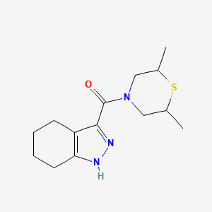 molecular formula C14H21N3OS B7620126 (2,6-dimethylthiomorpholin-4-yl)-(4,5,6,7-tetrahydro-1H-indazol-3-yl)methanone 