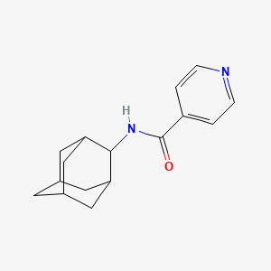 molecular formula C16H20N2O B7620865 N-(2-adamantyl)pyridine-4-carboxamide 