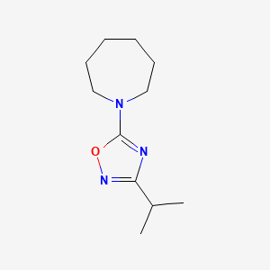 molecular formula C11H19N3O B7622301 5-(Azepan-1-yl)-3-propan-2-yl-1,2,4-oxadiazole 