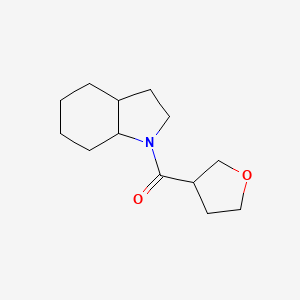 molecular formula C13H21NO2 B7622975 2,3,3a,4,5,6,7,7a-Octahydroindol-1-yl(oxolan-3-yl)methanone 