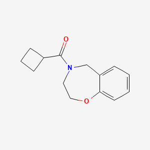 molecular formula C14H17NO2 B7623293 cyclobutyl(3,5-dihydro-2H-1,4-benzoxazepin-4-yl)methanone 