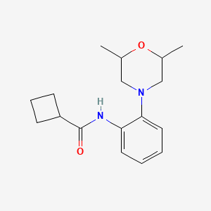 molecular formula C17H24N2O2 B7623670 N-[2-(2,6-dimethylmorpholin-4-yl)phenyl]cyclobutanecarboxamide 