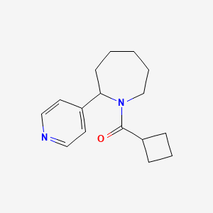 molecular formula C16H22N2O B7624093 Cyclobutyl-(2-pyridin-4-ylazepan-1-yl)methanone 