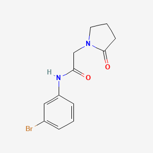 molecular formula C12H13BrN2O2 B7637445 N-(3-bromophenyl)-2-(2-oxopyrrolidin-1-yl)acetamide 