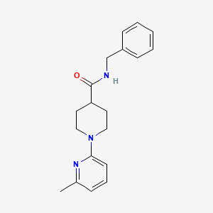 molecular formula C19H23N3O B7660941 N-benzyl-1-(6-methylpyridin-2-yl)piperidine-4-carboxamide 
