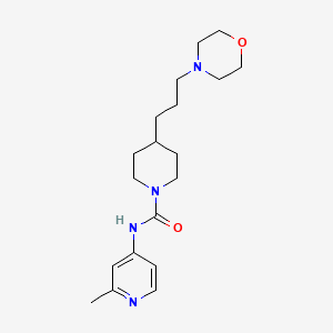 molecular formula C19H30N4O2 B7665993 N-(2-methylpyridin-4-yl)-4-(3-morpholin-4-ylpropyl)piperidine-1-carboxamide 