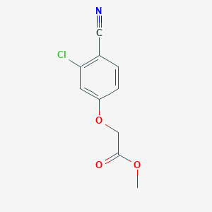 molecular formula C10H8ClNO3 B7672049 Methyl 2-(3-chloro-4-cyanophenoxy)acetate 