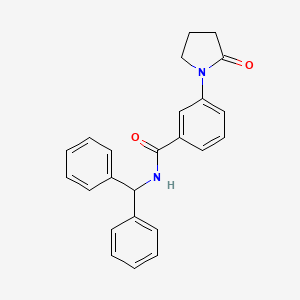 molecular formula C24H22N2O2 B7672116 N-benzhydryl-3-(2-oxopyrrolidin-1-yl)benzamide 