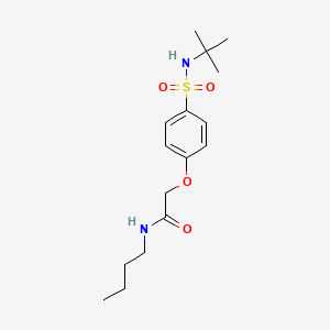molecular formula C16H26N2O4S B7688529 N-butyl-2-[4-(tert-butylsulfamoyl)phenoxy]acetamide 