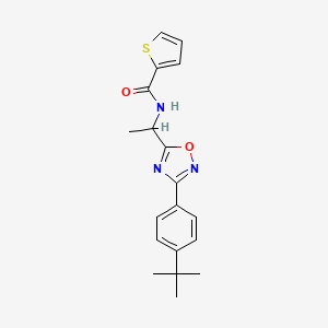 molecular formula C19H21N3O2S B7689022 N-[1-[3-(4-tert-butylphenyl)-1,2,4-oxadiazol-5-yl]ethyl]thiophene-2-carboxamide 