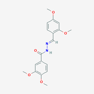 molecular formula C18H20N2O5 B7689790 N-[(E)-(2,4-dimethoxyphenyl)methylideneamino]-3,4-dimethoxybenzamide 