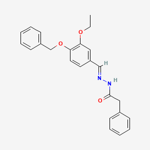molecular formula C24H24N2O3 B7703118 N'-{(E)-[4-(benzyloxy)-3-ethoxyphenyl]methylidene}-2-phenylacetohydrazide 