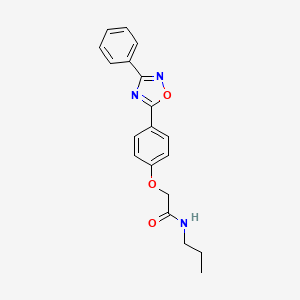 molecular formula C19H19N3O3 B7703655 2-[4-(3-phenyl-1,2,4-oxadiazol-5-yl)phenoxy]-N-propylacetamide 