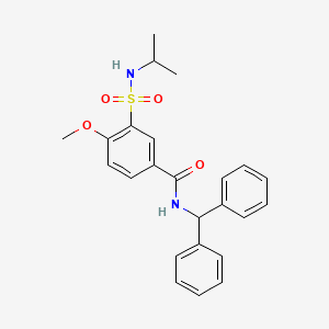 molecular formula C24H26N2O4S B7708738 N-(diphenylmethyl)-4-methoxy-3-(propan-2-ylsulfamoyl)benzamide 