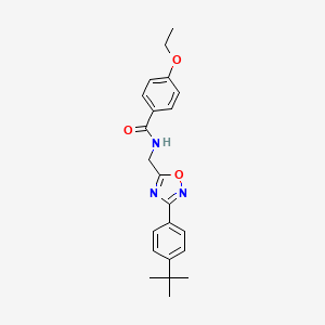 molecular formula C22H25N3O3 B7712178 N-[[3-(4-tert-butylphenyl)-1,2,4-oxadiazol-5-yl]methyl]-4-ethoxybenzamide 