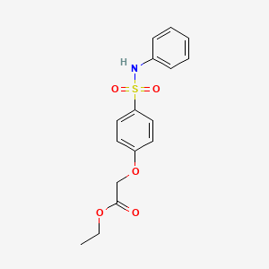 molecular formula C16H17NO5S B7715416 Ethyl 2-[4-(phenylsulfamoyl)phenoxy]acetate 