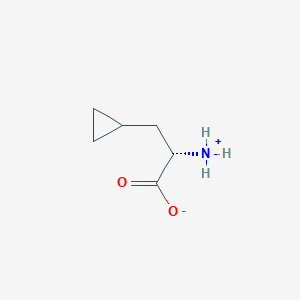 molecular formula C6H11NO2 B7721119 h-beta-cyclopropyl-l-ala-oh 
