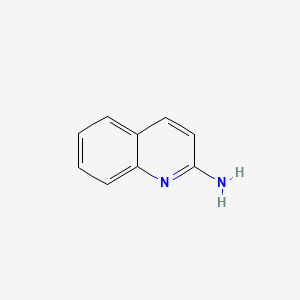 molecular formula C9H8N2 B7722446 2-Aminoquinoline CAS No. 31135-62-3