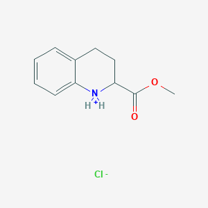 molecular formula C11H14ClNO2 B7723158 Methyl 1,2,3,4-tetrahydroquinolin-1-ium-2-carboxylate;chloride 