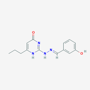 molecular formula C14H16N4O2 B7739166 2-[(2E)-2-[(3-hydroxyphenyl)methylidene]hydrazinyl]-6-propyl-1H-pyrimidin-4-one 