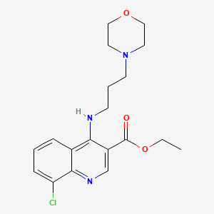 molecular formula C19H24ClN3O3 B7741917 MFCD03536080 