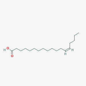 B077471 cis-13-Octadecenoic acid CAS No. 13126-39-1