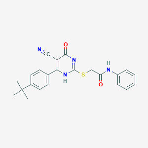 molecular formula C23H22N4O2S B7751808 2-[[6-(4-tert-butylphenyl)-5-cyano-4-oxo-1H-pyrimidin-2-yl]sulfanyl]-N-phenylacetamide 