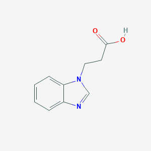 molecular formula C10H10N2O2 B077591 3-(1H-benzimidazol-1-yl)propanoic acid CAS No. 14840-18-7