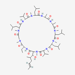 molecular formula C62H111N11O12 B7760023 Cyclosporine A 