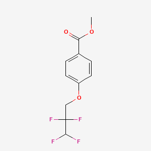 molecular formula C11H10F4O3 B7762578 Methyl 4-(2,2,3,3-tetrafluoropropoxy)benzoate 