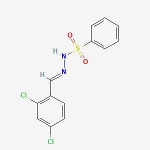 molecular formula C13H10Cl2N2O2S B7763863 N'-[(1E)-(2,4-dichlorophenyl)methylidene]benzenesulfonohydrazide 
