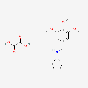 molecular formula C17H25NO7 B7764483 oxalic acid;N-[(3,4,5-trimethoxyphenyl)methyl]cyclopentanamine 
